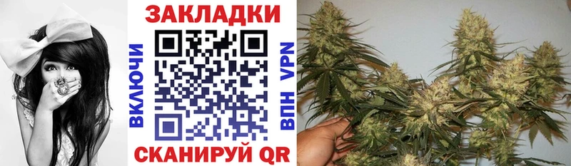 Виды наркотиков купить Петрозаводск Марихуана  Cocaine  Амфетамин  Меф мяу мяу  ЭКСТАЗИ  ГАШИШ 