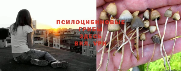 ECSTASY Алексеевка